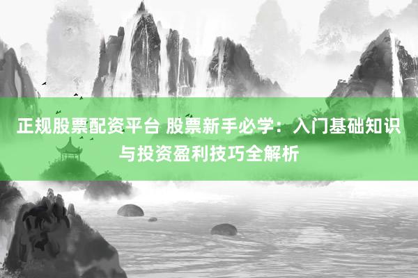 正规股票配资平台 股票新手必学：入门基础知识与投资盈利技巧全解析