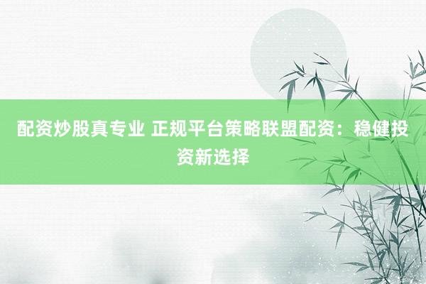 配资炒股真专业 正规平台策略联盟配资：稳健投资新选择