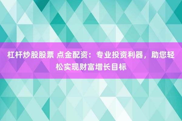 杠杆炒股股票 点金配资：专业投资利器，助您轻松实现财富增长目标