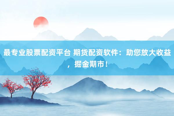 最专业股票配资平台 期货配资软件：助您放大收益，掘金期市！