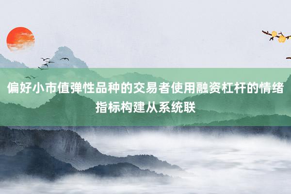 偏好小市值弹性品种的交易者使用融资杠杆的情绪指标构建从系统联