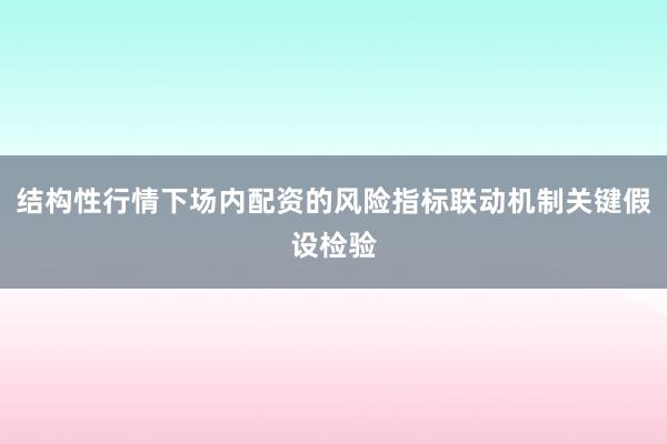 结构性行情下场内配资的风险指标联动机制关键假设检验