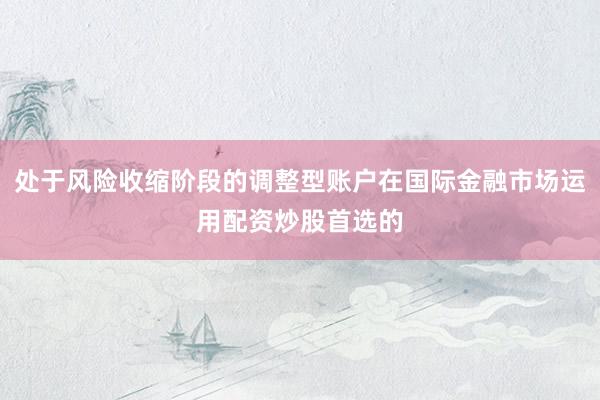 处于风险收缩阶段的调整型账户在国际金融市场运用配资炒股首选的