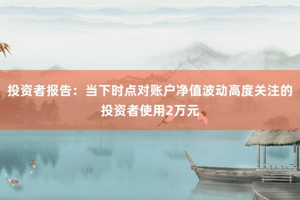 投资者报告：当下时点对账户净值波动高度关注的投资者使用2万元