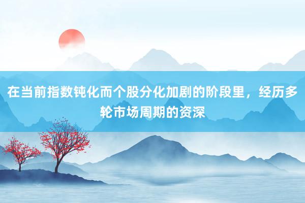在当前指数钝化而个股分化加剧的阶段里，经历多轮市场周期的资深