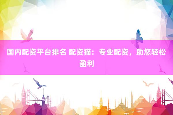 国内配资平台排名 配资猫：专业配资，助您轻松盈利