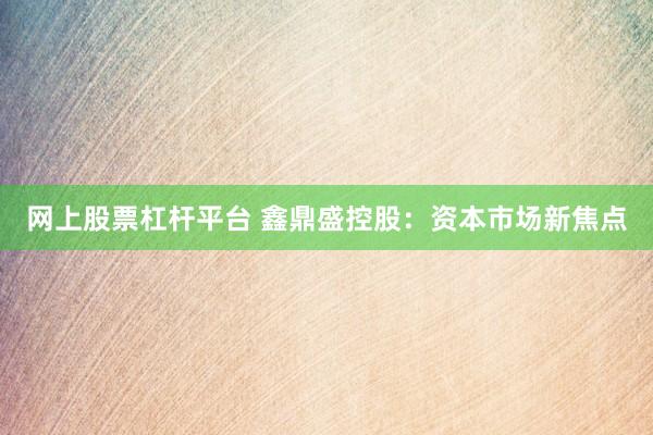 网上股票杠杆平台 鑫鼎盛控股：资本市场新焦点